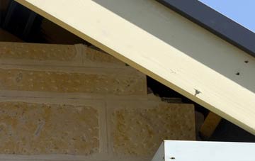 soffit repair Netherseal